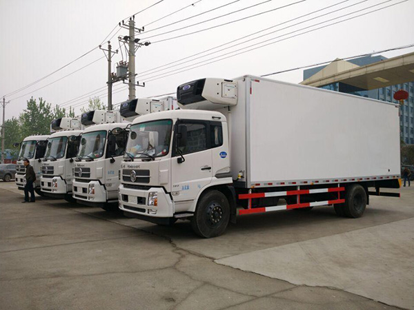 東風天錦6.55米貨廂冷藏車